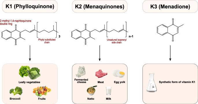 The Role of Vitamin K in CKD-MBD | SpringerLink