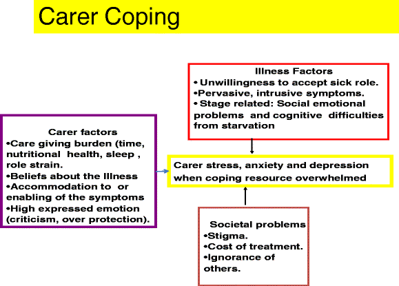 Interventions For The Carers Of Patients With Eating Disorders Springerlink
