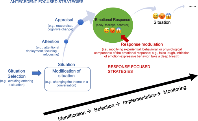 Attention Deficit Hyperactivity Disorder Adhd And Emotion Regulation Over The Life Span Springerlink