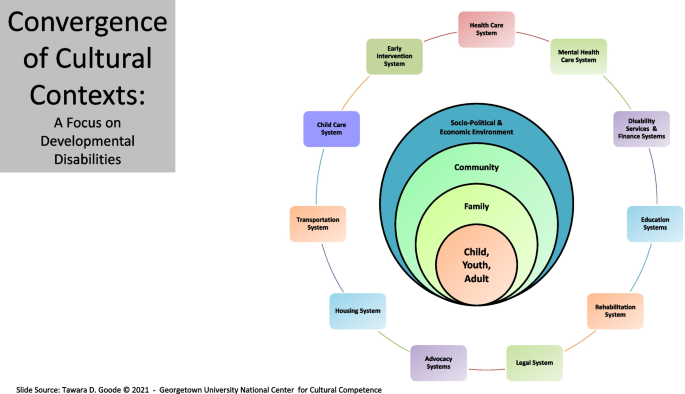 Addressing Framework Multicultural Addressing Stigma-Related Health Disparities for Autistic Individuals ...