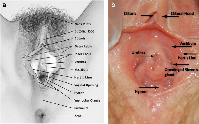 Pics vulva Category:Close