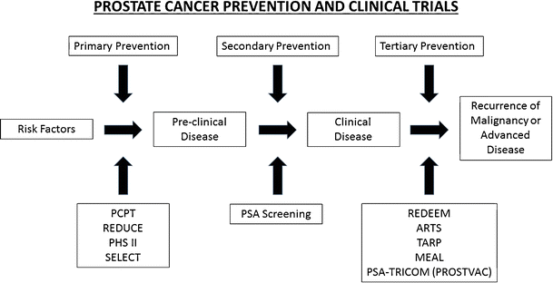 prostate cancer prevention trial (pcpt)