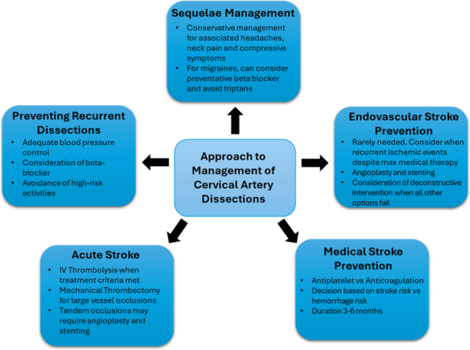 Updates in the Management of Cervical Artery Dissections | Current ...