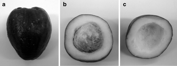Dehydration Of Malay Apple Syzygium Malaccense L Using Ultrasound As Pre Treatment Springerlink