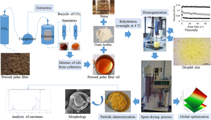 Effect of Solids Content and Spray-Drying Operating Conditions on the  Carotenoids Microencapsulation from Pressed Palm Fiber Oil Extracted with  Supercritical CO2 | SpringerLink