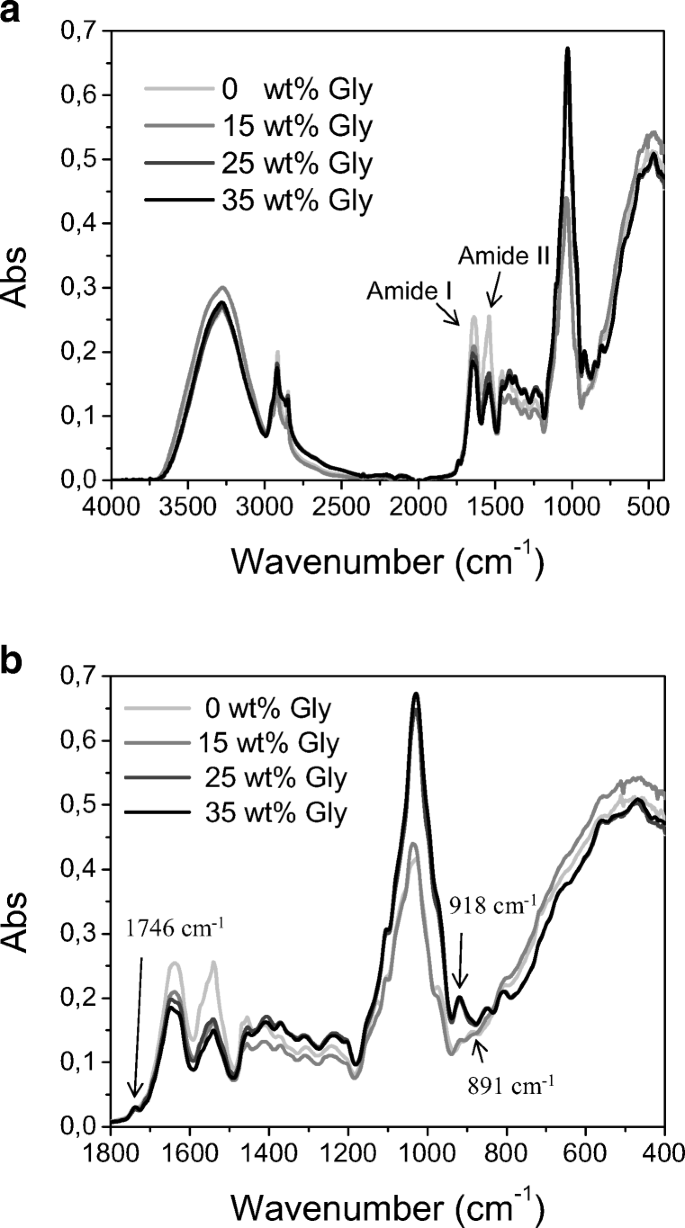 Bacteria or Fungi ? - www.photomacrography.net, image size:685x1228