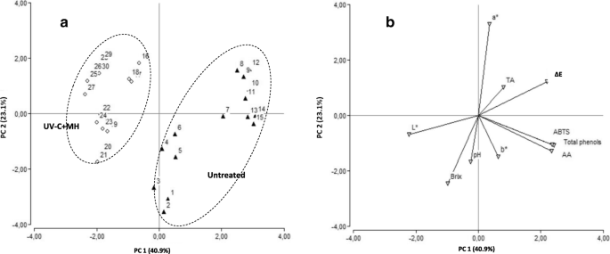 Combined Effect Of Uv C Light And Mild Heat On Microbial Quality And Antioxidant Capacity Of Grapefruit Juice By Flow Continuous Reactor Springerlink