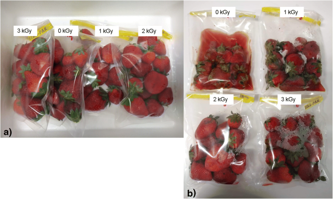 Effect of Ionizing Radiation and Refrigeration on the Antioxidants of  Strawberries | SpringerLink