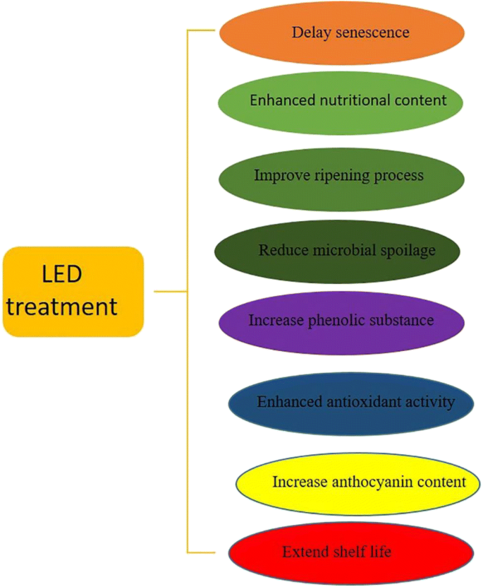 effect of light emitting diodes leds on the quality of fruits and vegetables during postharvest period a review springerlink effect of light emitting diodes leds on the quality of fruits and vegetables during postharvest period a review springerlink