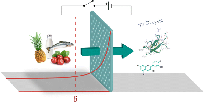 thesis membranes separation