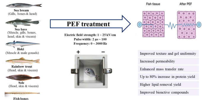 Pef Processing Innovative Applications of Pulsed Electric Field Technology in Marine ...