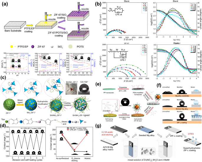 Recent progress of zeolitic imidazolate frameworks (ZIFs) in