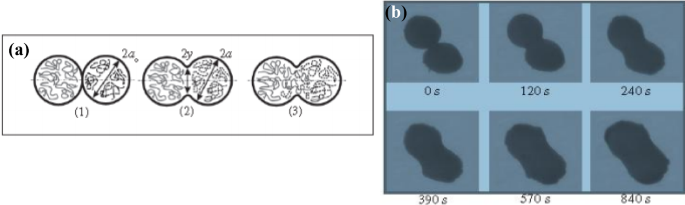 figure 45