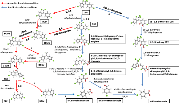 The Environmental Issues Of Ddt Pollution And Bioremediation A Multidisciplinary Review Springerlink