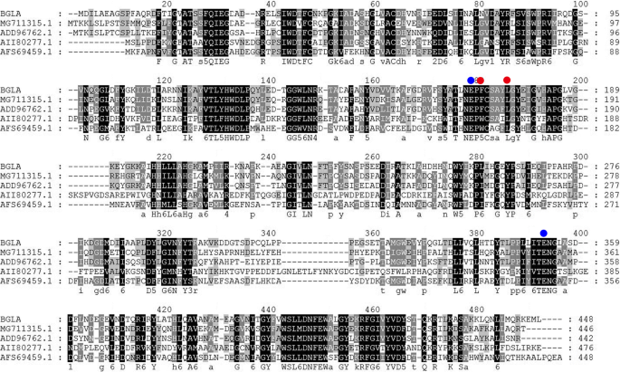 A Novel Glucose Tolerant Gh1 B Glucosidase And Improvement Of Its Glucose Tolerance Using Site Directed Mutation Springerlink