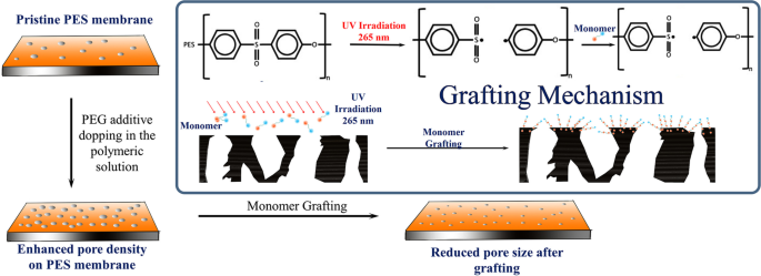 Hydrophilized Ultrafiltration Membranes Synthesized from Acrylic Acid  Grafted Polyethersulfone for Downstream Processing of Therapeutic Insulin  and Cobalamin | SpringerLink