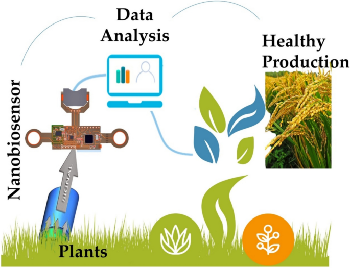 Trends of Nanobiosensors in Modern Agriculture Systems | Applied ...
