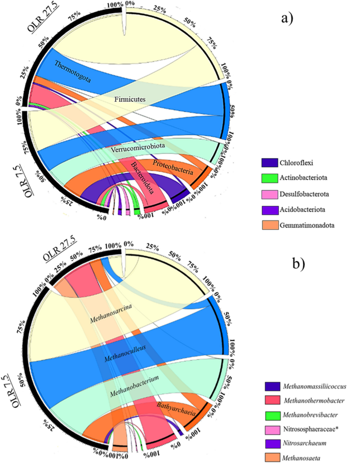 Harnessing the Energy Potential and ValueAdded Products from the
