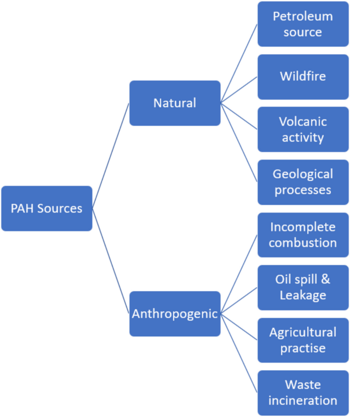 Pahs Source Unraveling the Role of Microbes in Remediation of High Molecular Weight ...