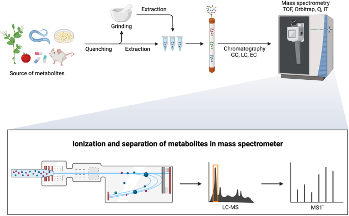 Current Advancements in Untargeted Metabolomics Analysis and Testing ...