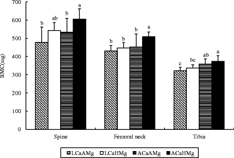 The Effects Of Mg Supplementation In Diets With Different Calcium Levels On The Bone Status And Bone Metabolism In Growing Female Rats Springerlink