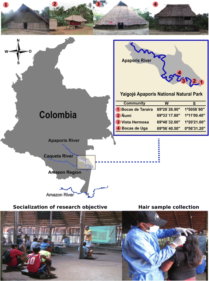 High Mercury Levels in the Indigenous Population of the Yaigojé Apaporis  National Natural Park, Colombian Amazon | SpringerLink