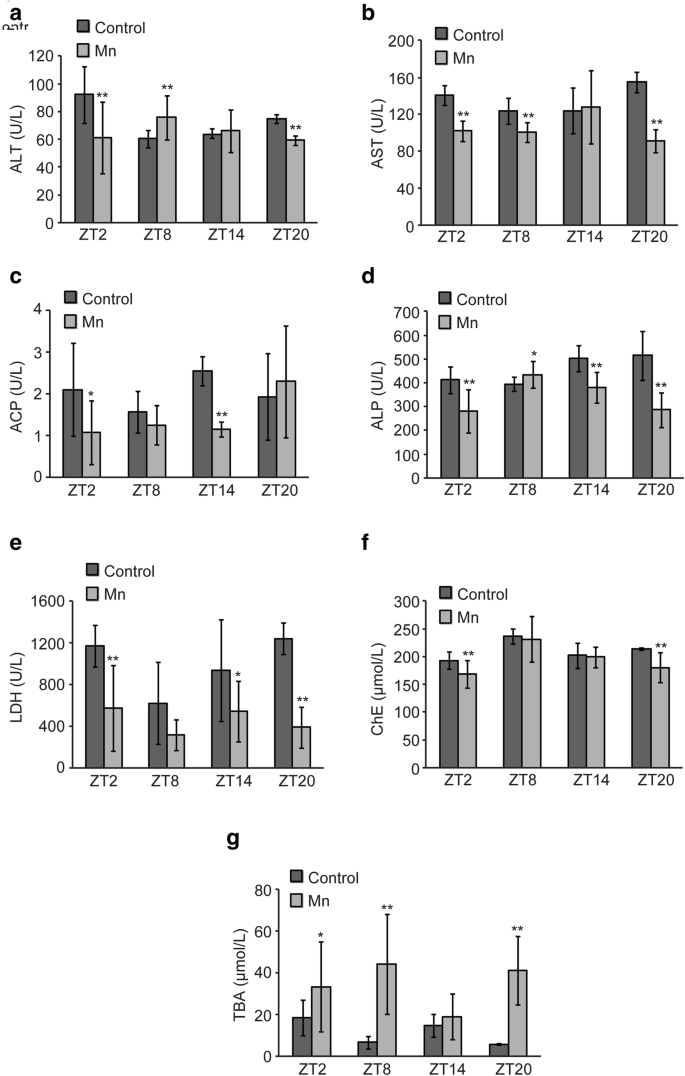 Liver Function Of Male Rats Exposed To Manganese At Different Time Points Springerlink