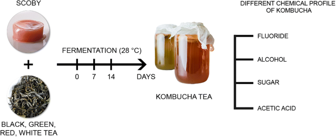 Evaluation of Fluoride and Selected Chemical Parameters in Kombucha Derived  from White, Green, Black and Red Tea | Biological Trace Element Research