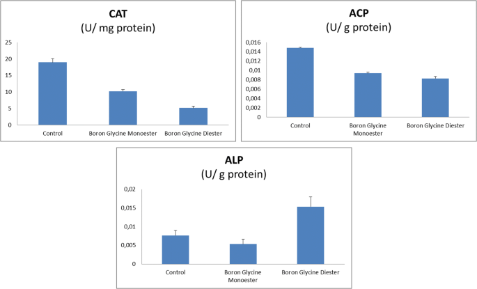 Therapeutic Effects Of Newly Synthesized Boron Compounds Bgm And Bgd On Hepatocellular Carcinoma Springerlink