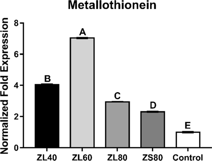 Effects Of Zinc Lactate Supplementation On Growth Performance Intestinal Morphology Serum Parameters And Hepatic Metallothionein Of Chinese Yellow Feathered Broilers Springerlink