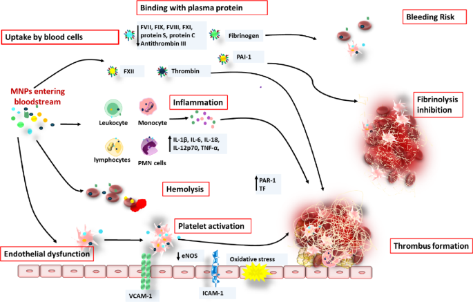 glutathione inhaler Inhaled vs Injected vs IV: A Complete Comparison of Delive Calibrate IV Micro-nanoplastics in Cardiovascular Disease: A