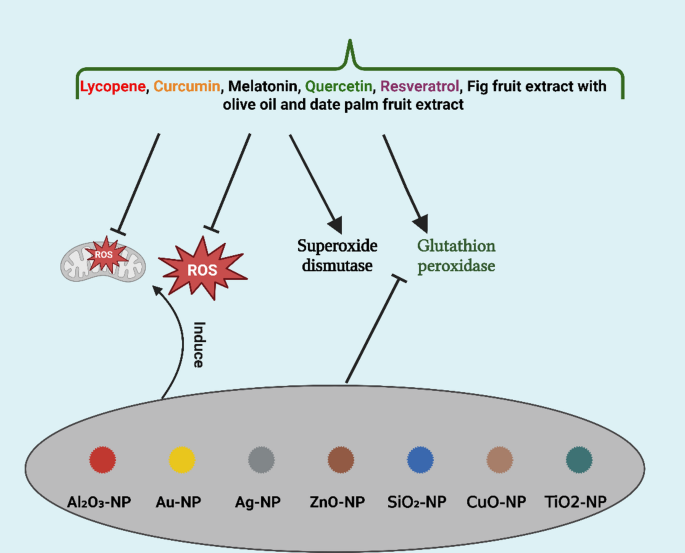 Cardiovascular Nanomedicine: Breakthroughs in Therapy—Challenges in Safety and Cardiotoxic Risks: A Comprehensive Review of Inorganic Nanoparticles | Cardiovascular Toxicology
