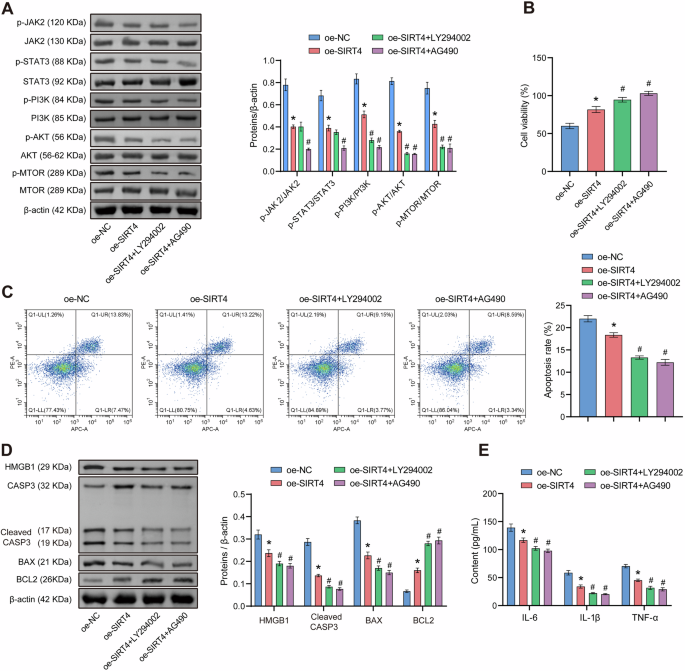 Sirt4 Overexpression Modulates the JAK2/STAT3 and PI3K/AKT/mTOR Axes to ...