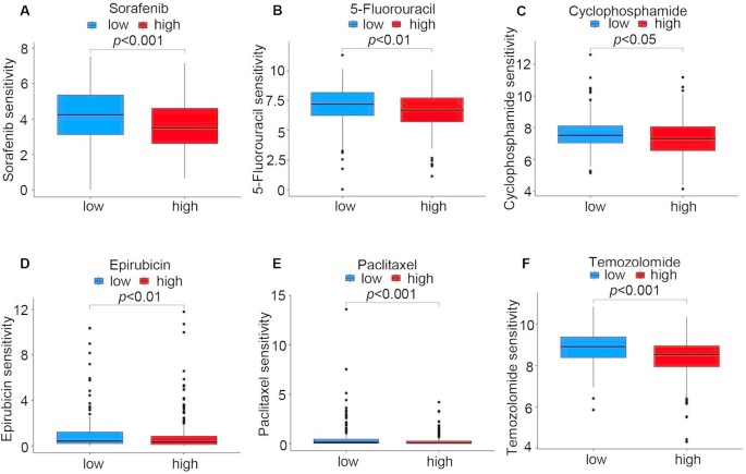 gpx7 gene treatment supplement reduced glutathione Accelerates epithelial-mesenchymal Transition and Drives HCC Progression Via PI3K/AKT Signaling Pathway | Cell Biochemistry and Biophysics dista_id=browntaped:9547156422815