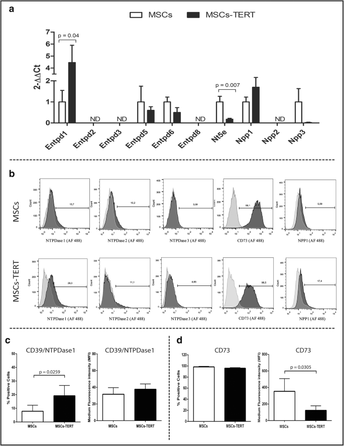 Immortalization Of Mesenchymal Stromal Cells By Tert Affects Adenosine Metabolism And Impairs Their Immunosuppressive Capacity Springerlink Immortalization Of Mesenchymal Stromal Cells By Tert Affects Adenosine Metabolism And Impairs Their Immunosuppressive Capacity Springerlink