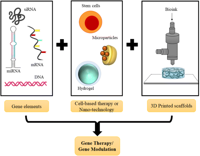 PDF) Bioprinting Applications in Craniofacial Regeneration