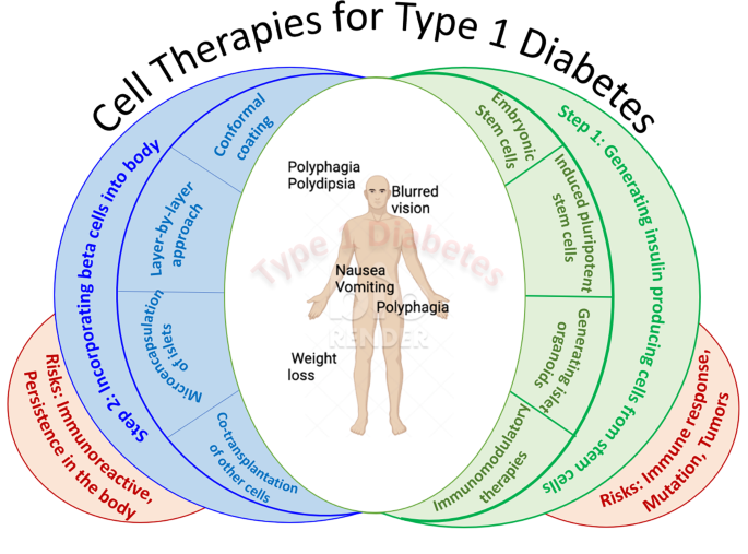 Diabetes Mellitus: Exploring Alternative Therapies