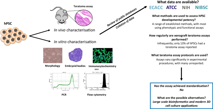 stem cell research resource paper