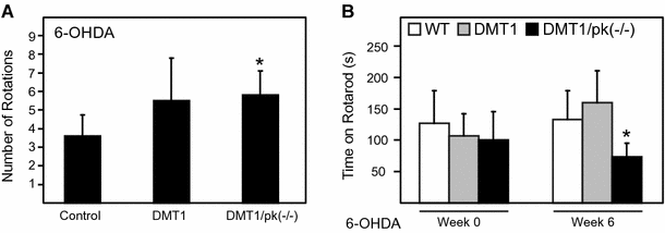 Transgenic Mice Overexpressing The Divalent Metal Transporter 1 Exhibit Iron Accumulation And Enhanced Parkin Expression In The Brain Springerlink
