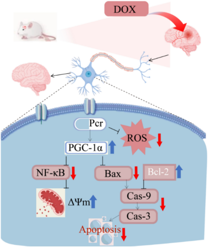 glutathione chemical adducts Glutathione Adduct Patterns of Michael-Acceptor Carbonyls