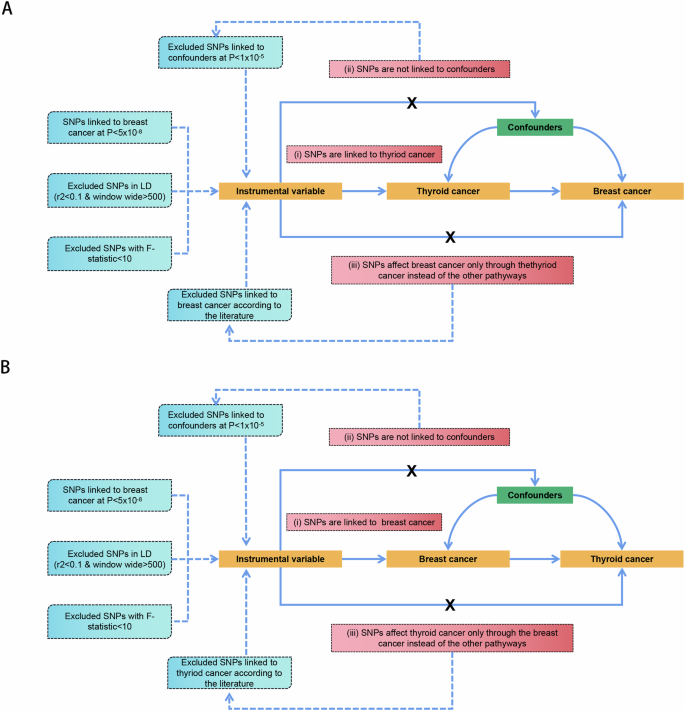 Investigation of the causal relationship between breast cancer and ...