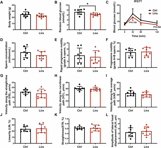 GLP-1 receptor agonists show no detrimental effect on sperm quality in  mouse models and cell lines | Endocrine