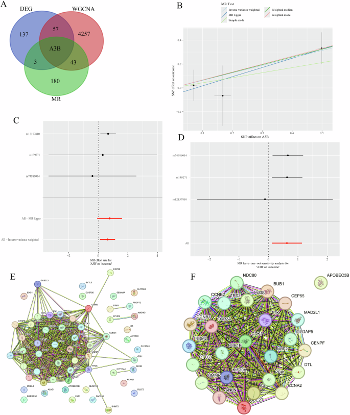 Machine Learning-Driven Identification and In Vitro Validation of the ...