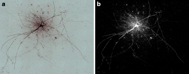 figure 15