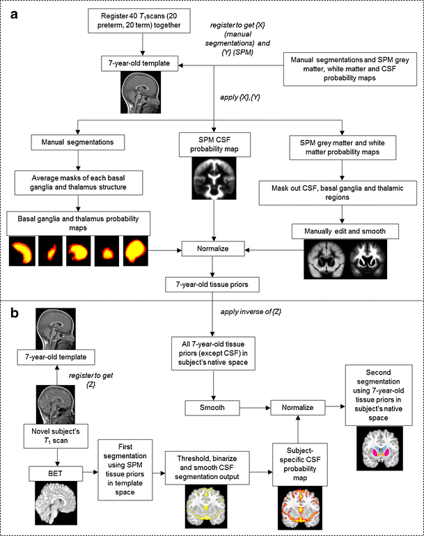 A New MRI-Based Pediatric Subcortical Segmentation Technique (PSST ...