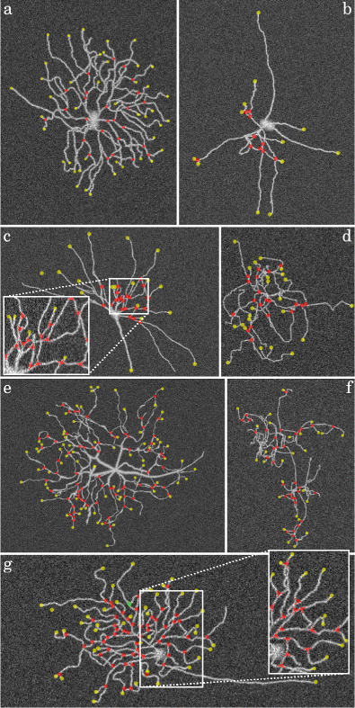 figure 16