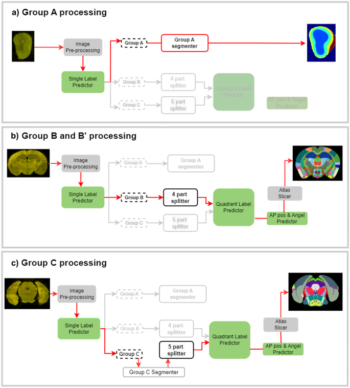 DeepSlice: rapid fully automatic registration of mouse brain imaging to a  volumetric atlas