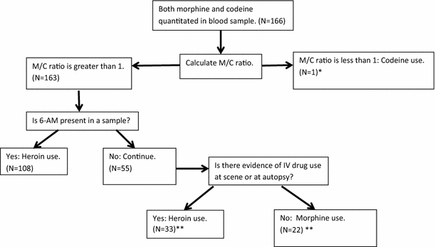 Identifying Cases Of Heroin Toxicity Where 6 Acetylmorphine 6 Am Is Not Detected By Toxicological Analyses Springerlink