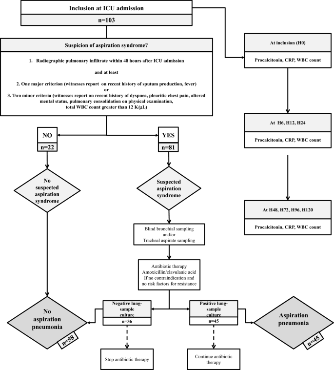 Diagnostic Accuracy of Procalcitonin for Early Aspiration Pneumonia in  Critically Ill Patients with Coma: A Prospective Study | SpringerLink