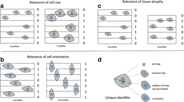 stereology based counting technique stereology based counting technique